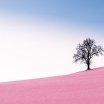 Simplicity