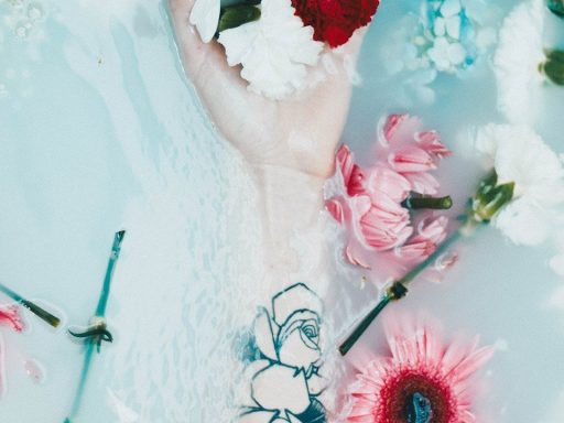 Amicitiae nostrae memoriam spero fore