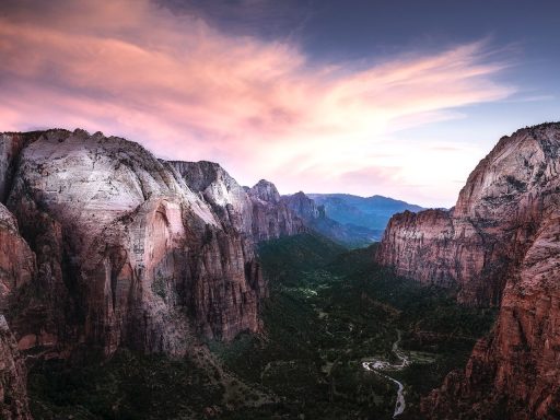 Vir sapit qui pauca loquitur