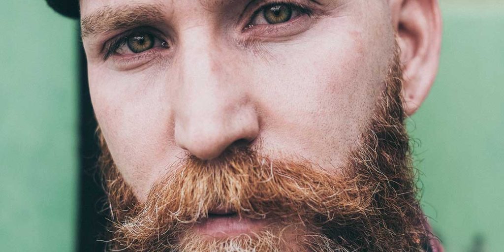 Dulce bellum inexpertis