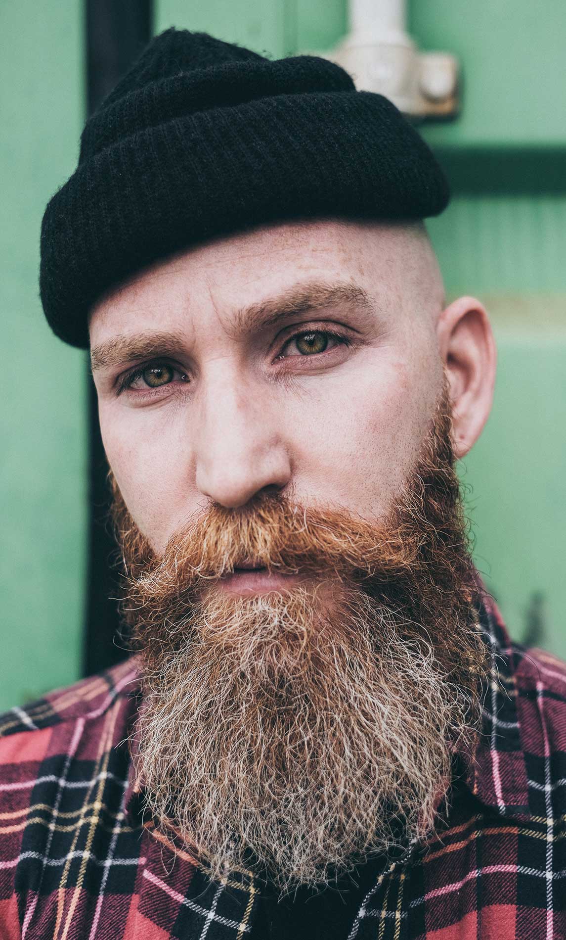 Dulce bellum inexpertis